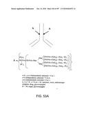 Factor VIII: remodeling and glycoconjugation of factor VIII diagram and image