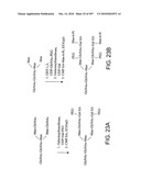 Factor VIII: remodeling and glycoconjugation of factor VIII diagram and image