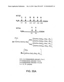 Factor VIII: remodeling and glycoconjugation of factor VIII diagram and image