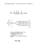 Factor VIII: remodeling and glycoconjugation of factor VIII diagram and image