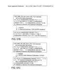 Factor VIII: remodeling and glycoconjugation of factor VIII diagram and image