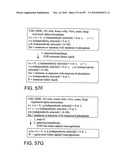 Factor VIII: remodeling and glycoconjugation of factor VIII diagram and image