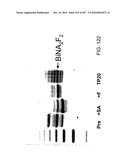 Factor VIII: remodeling and glycoconjugation of factor VIII diagram and image