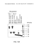 Factor VIII: remodeling and glycoconjugation of factor VIII diagram and image