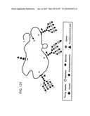 Factor VIII: remodeling and glycoconjugation of factor VIII diagram and image