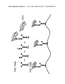 Factor VIII: remodeling and glycoconjugation of factor VIII diagram and image