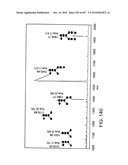 Factor VIII: remodeling and glycoconjugation of factor VIII diagram and image