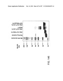 Factor VIII: remodeling and glycoconjugation of factor VIII diagram and image