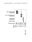 Factor VIII: remodeling and glycoconjugation of factor VIII diagram and image