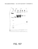 Factor VIII: remodeling and glycoconjugation of factor VIII diagram and image