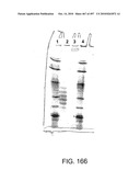 Factor VIII: remodeling and glycoconjugation of factor VIII diagram and image