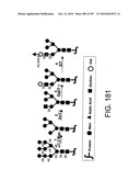 Factor VIII: remodeling and glycoconjugation of factor VIII diagram and image