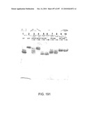 Factor VIII: remodeling and glycoconjugation of factor VIII diagram and image