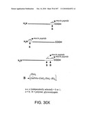 Factor VIII: remodeling and glycoconjugation of factor VIII diagram and image