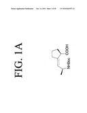 Peptides that specifically bind HGF receptor (CMET) and uses thereof diagram and image