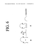 Peptides that specifically bind HGF receptor (CMET) and uses thereof diagram and image