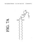 Peptides that specifically bind HGF receptor (CMET) and uses thereof diagram and image