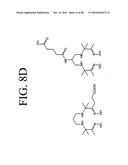 Peptides that specifically bind HGF receptor (CMET) and uses thereof diagram and image