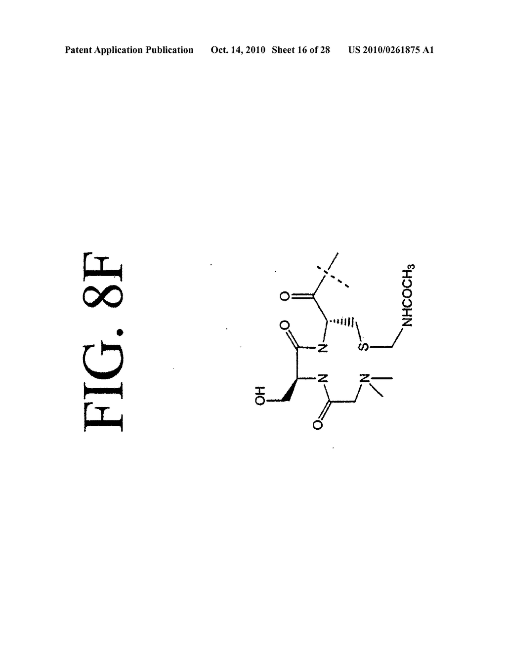 Peptides that specifically bind HGF receptor (CMET) and uses thereof - diagram, schematic, and image 17