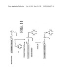 Peptides that specifically bind HGF receptor (CMET) and uses thereof diagram and image