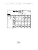 PEGylation by the Dock and Lock (DNL) Technique diagram and image