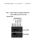 Tricyclic-Bis-Enone Derivatives and Methods of Use Thereof diagram and image