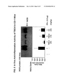 Tricyclic-Bis-Enone Derivatives and Methods of Use Thereof diagram and image