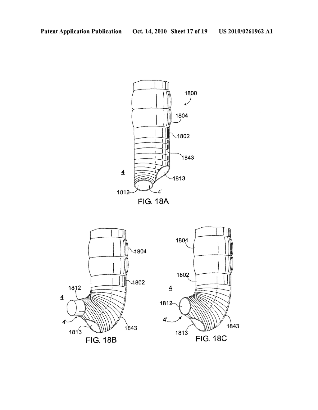 NATURAL ORIFICE TRANSLUMINAL ENDOSCOPIC SURGERY OVERTUBE AND METHOD OF INTRODUCING MULTIPLE ENDOSCOPES - diagram, schematic, and image 18