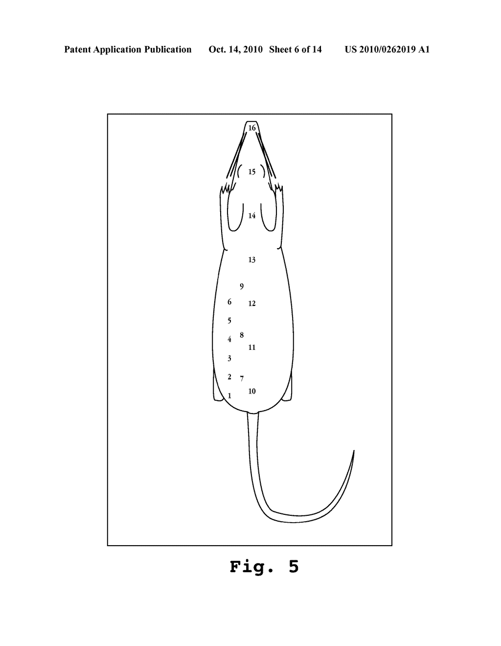 METHOD AND APPARATUS FOR DETERMINING TARGET DEPTH, BRIGHTNESS AND SIZE WITHIN A BODY REGION - diagram, schematic, and image 07