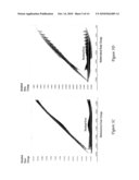 BLENDED MODEL INTERPOLATION diagram and image