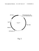 Polypeptides Having Acetylxylan Esterase Activity And Polynucleotides Encoding Same diagram and image