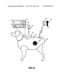 ANIMAL GARMENT WITH INTEGRATED SOUND DEVICE diagram and image