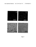 NANOROD THIN-FILM TRANSITORS diagram and image