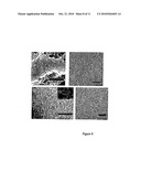 NANOROD THIN-FILM TRANSITORS diagram and image