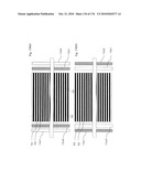 DRIVE METHOD OF EL DISPLAY APPARATUS diagram and image