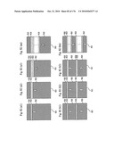 DRIVE METHOD OF EL DISPLAY APPARATUS diagram and image