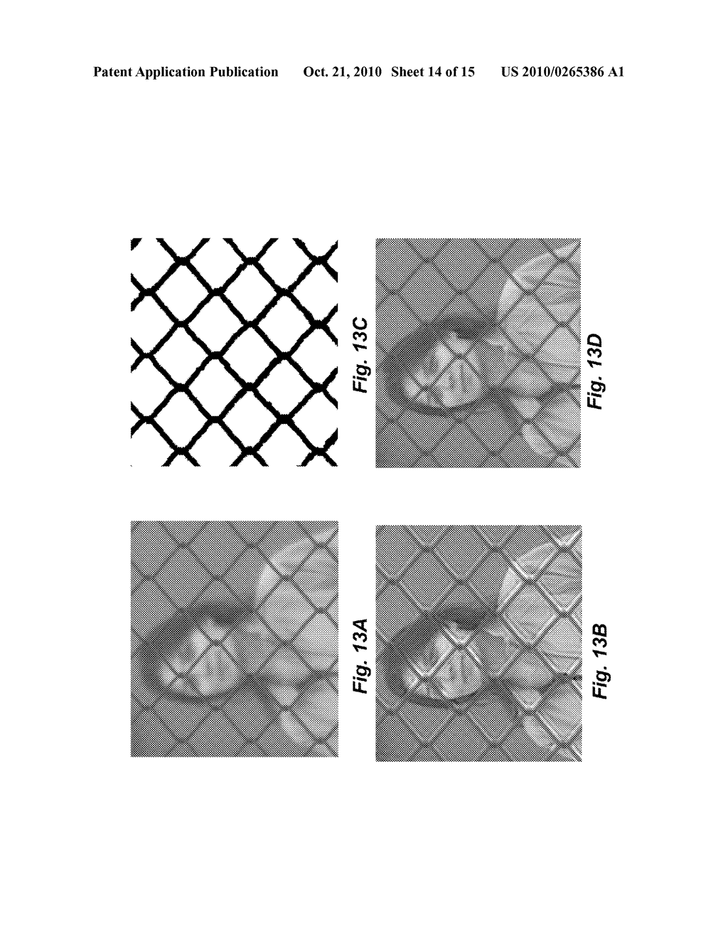 4D Light Field Cameras - diagram, schematic, and image 15