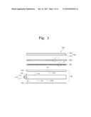 DISPLAY APPARATUS HAVING VARIABLE DIFFUSER FILM diagram and image