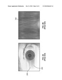 METHODS AND SYSTEMS FOR BIOMETRIC IDENTIFICATION diagram and image