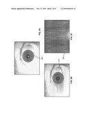 METHODS AND SYSTEMS FOR BIOMETRIC IDENTIFICATION diagram and image