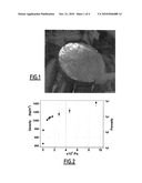 HYDROGEN STORAGE MATERIAL MADE FROM MAGNESIUM HYDRIDE diagram and image