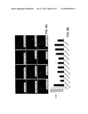 Metalloproteinase Binding Proteins diagram and image