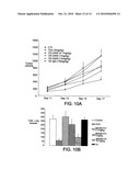 Metalloproteinase Binding Proteins diagram and image