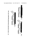 TREATMENT OF CANCER WITH NOVEL ANTI-IL13 MONOCLONAL ANTIBODIES diagram and image