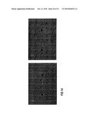 METHODS FOR INHIBITING SCARRING diagram and image