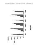 SELECTIVELY REPLICATING VIRAL VECTORS diagram and image