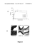 METHODS AND COMPOSITIONS FOR TREATMENT OF INTERFERON-RESISTANT TUMORS diagram and image