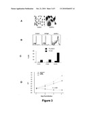 METHODS AND COMPOSITIONS FOR TREATMENT OF INTERFERON-RESISTANT TUMORS diagram and image