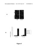 METHODS AND COMPOSITIONS FOR TREATMENT OF INTERFERON-RESISTANT TUMORS diagram and image