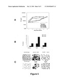 METHODS AND COMPOSITIONS FOR TREATMENT OF INTERFERON-RESISTANT TUMORS diagram and image